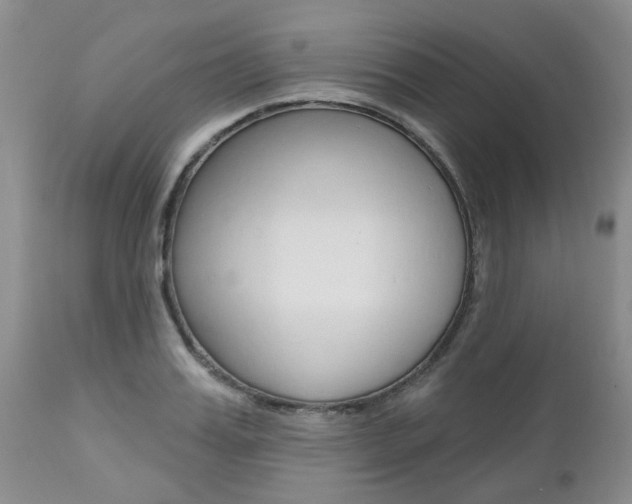 X0000112800987200908210959