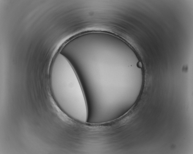 X0000112800988200908210959