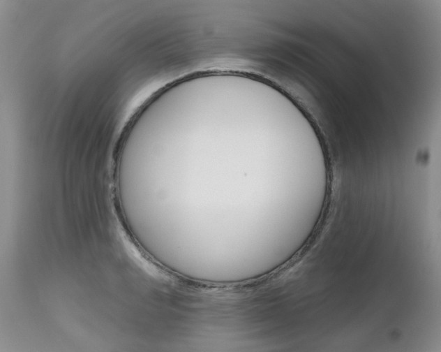 X0000112800990200908210959