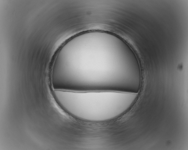 X0000112800991200908210959