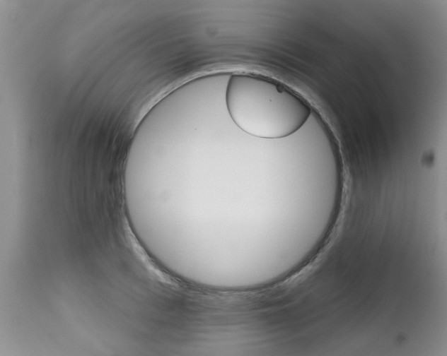 X0000112800993200908210959