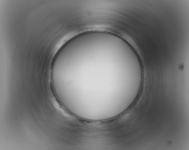 X0000112800994200908210959