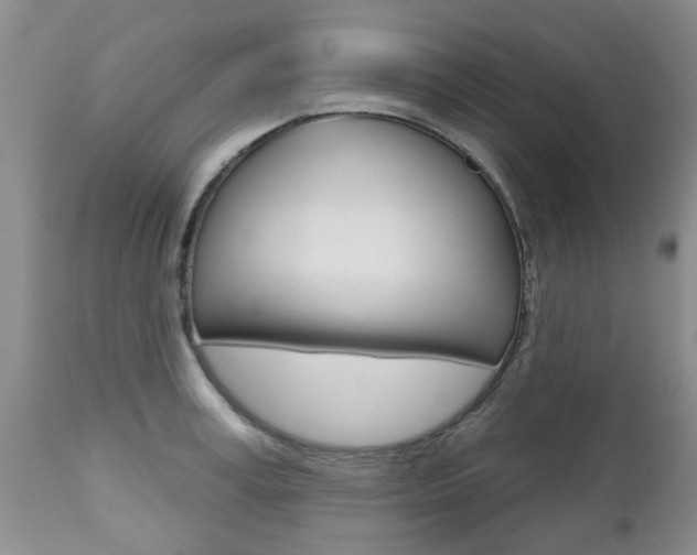 X0000112800995200908210959