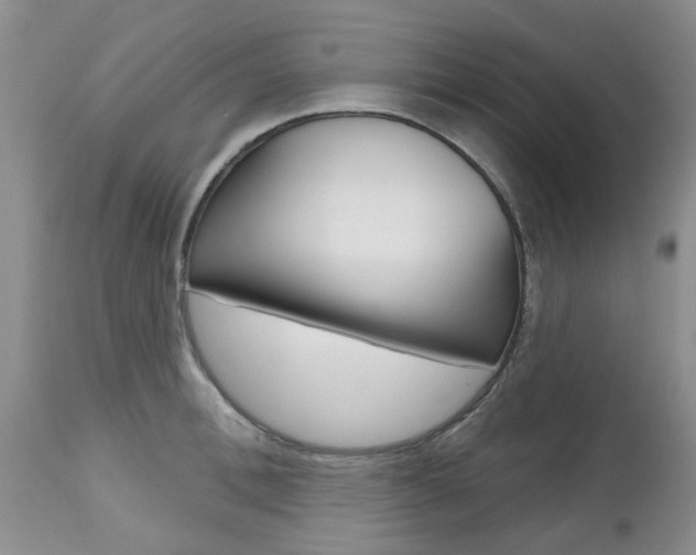 X0000112800996200908210959