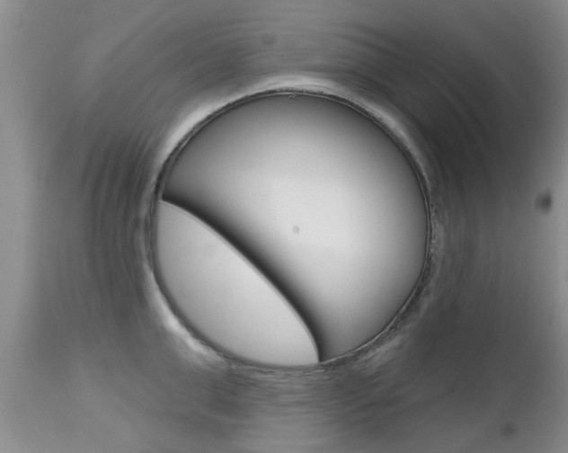 X0000112800999200908210959