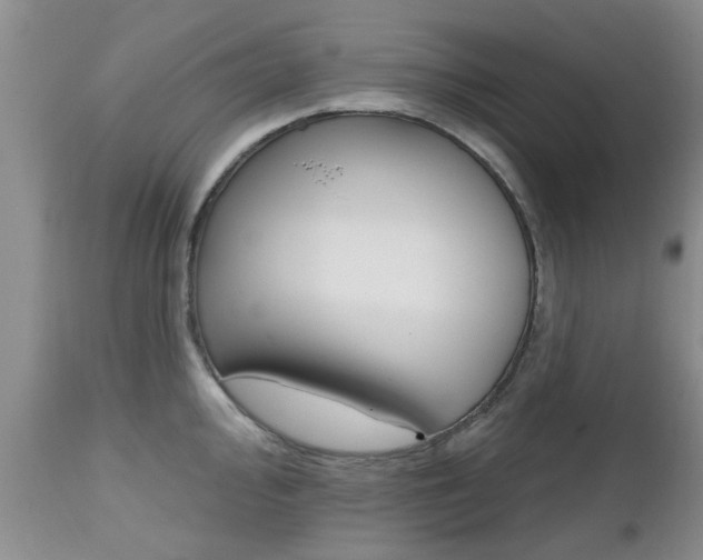 X0000112801000200908210958