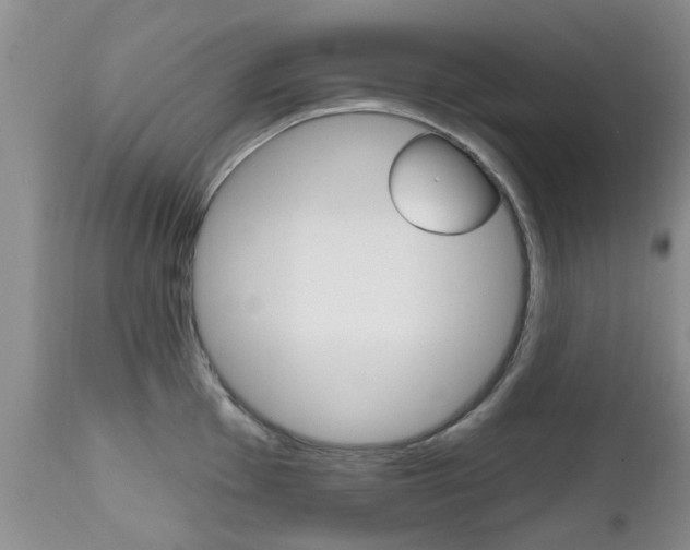X0000112801001200908210958