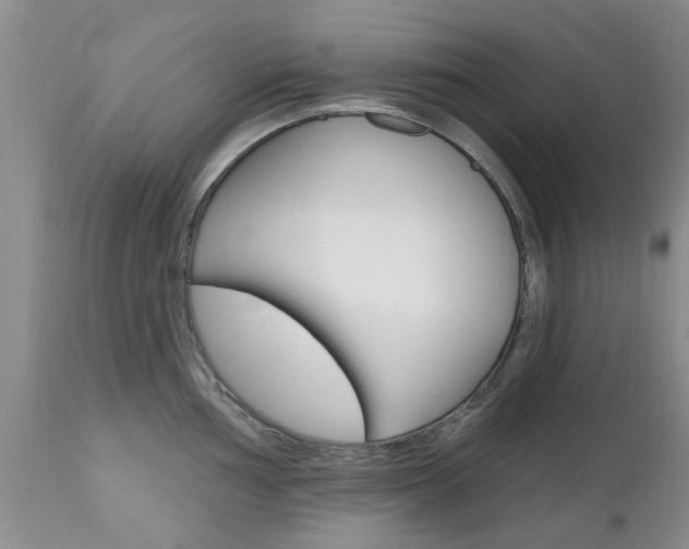 X0000112801002200908210958