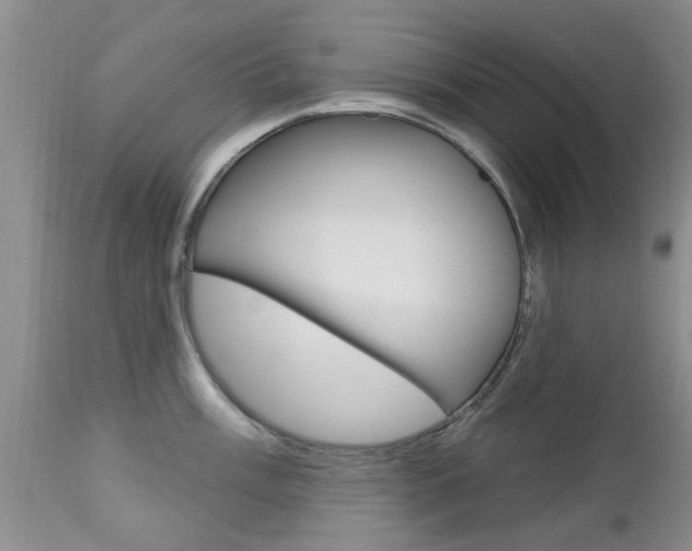 X0000112801003200908210958