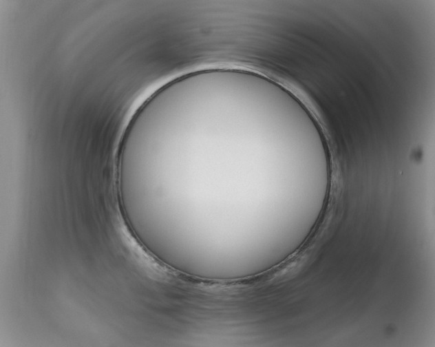 X0000112801004200908210958