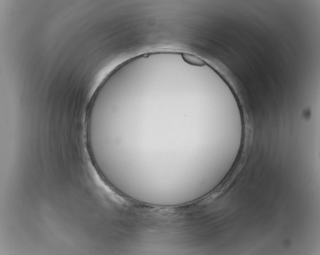 X0000112801006200908210958