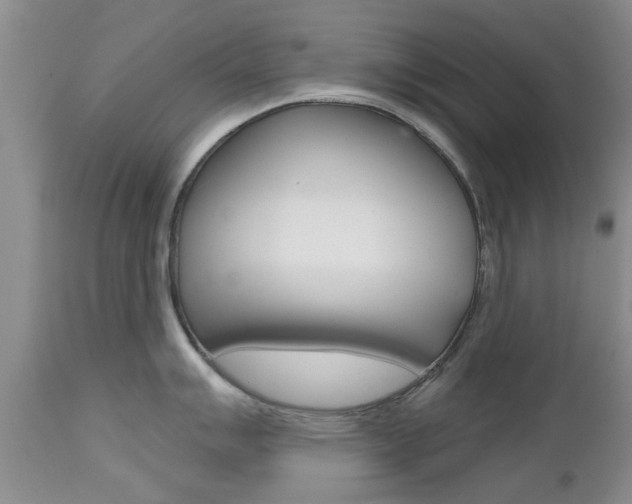 X0000112801007200908210958