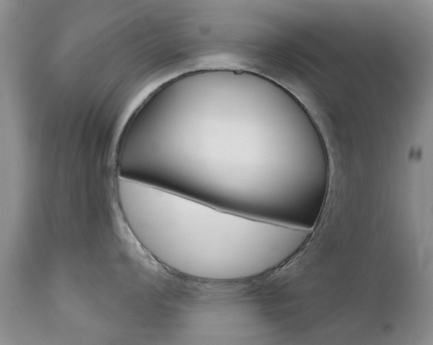 X0000112801008200908210958