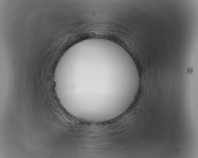 X0000112801009200908210958