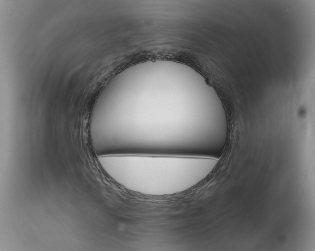 X0000112801010200908210958