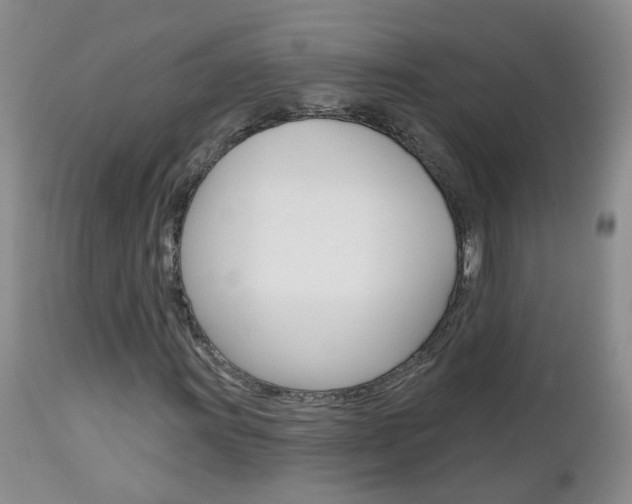 X0000112801011200908210958