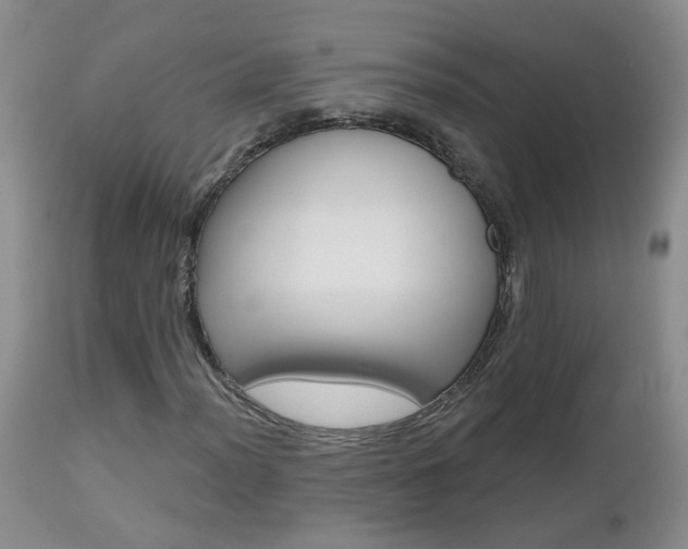 X0000112801012200908210958