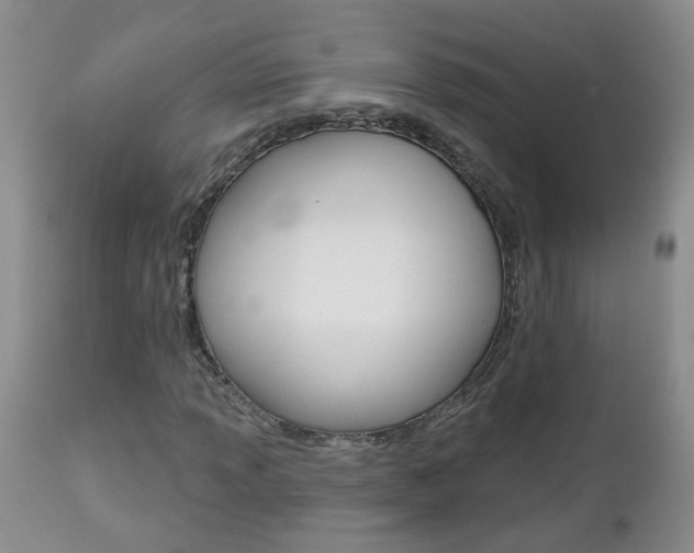 X0000112801013200908210958
