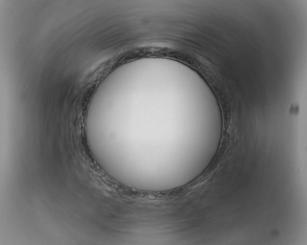 X0000112801014200908210958
