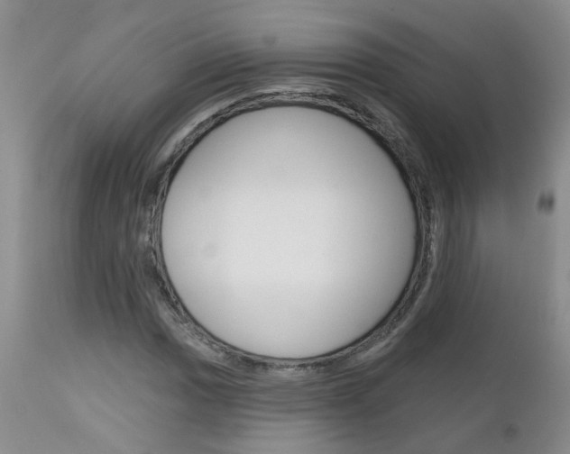 X0000112801017200908210958