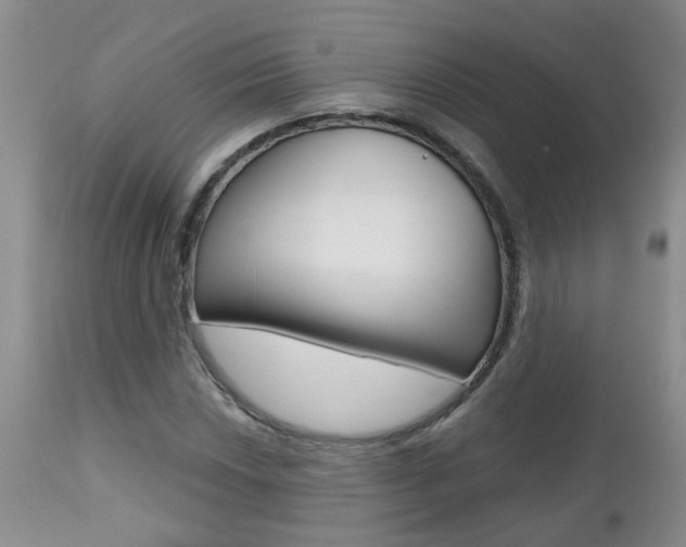 X0000112801018200908210958