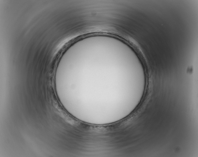 X0000112801019200908210958