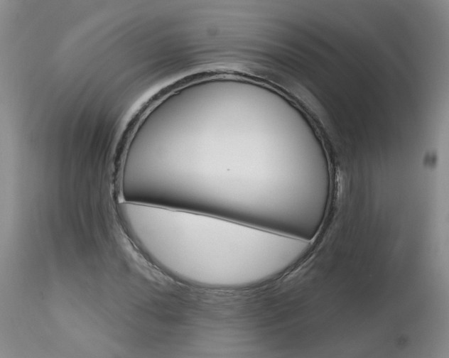 X0000112801020200908210958
