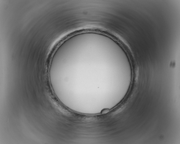 X0000112801021200908210958