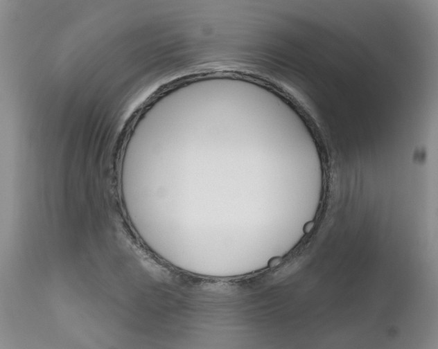 X0000112801023200908210958