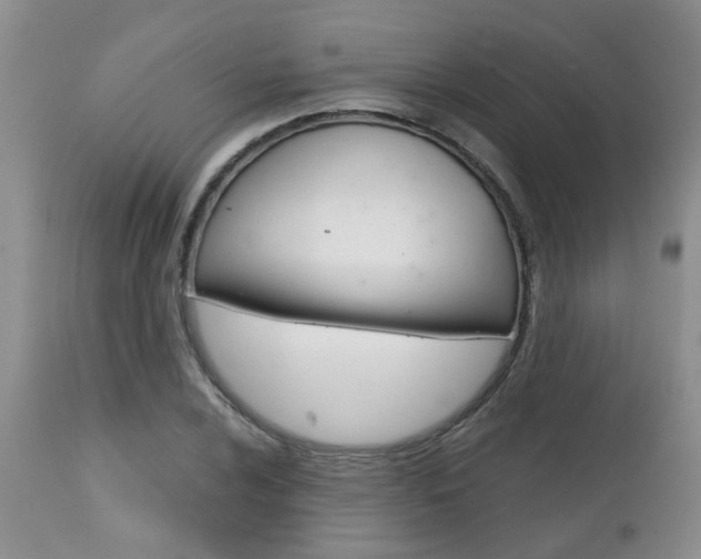 X0000112801024200908210958