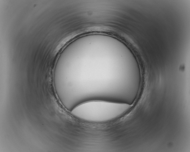 X0000112801025200908210958