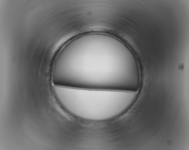 X0000112801026200908210958