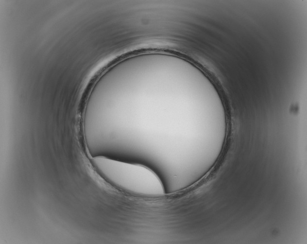X0000112801029200908210958