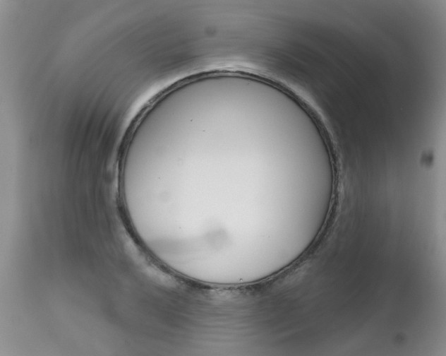 X0000112801032200908210958