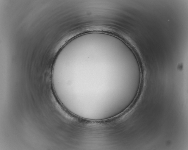 X0000112801033200908210958