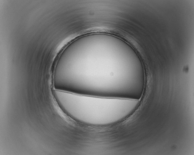 X0000112801034200908210958