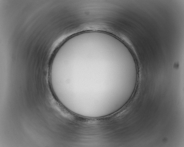 X0000112801035200908210958
