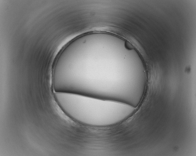 X0000112801036200908210958