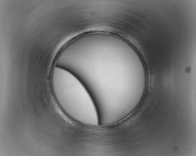 X0000112801037200908210958