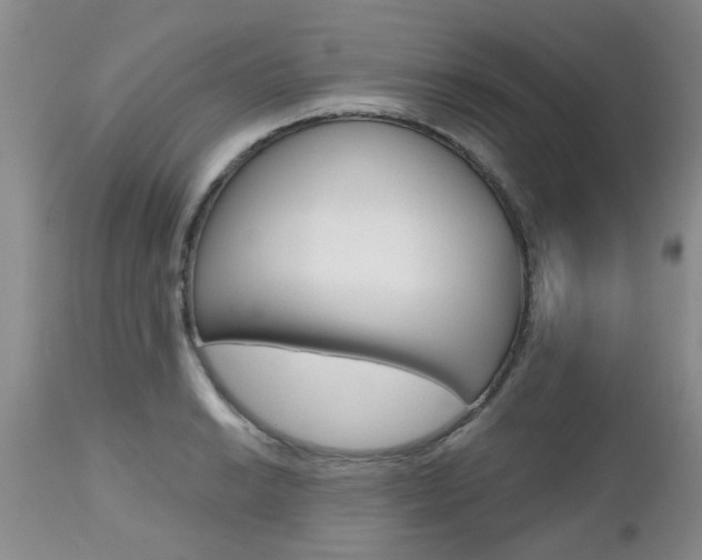 X0000112801038200908210958