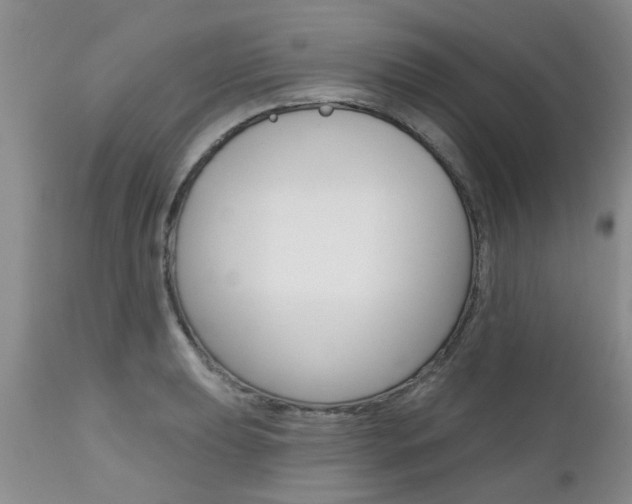 X0000112801039200908210958