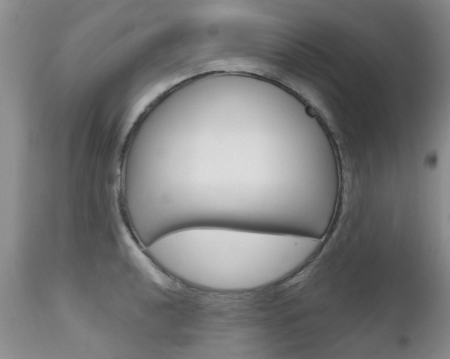 X0000112801040200908210958