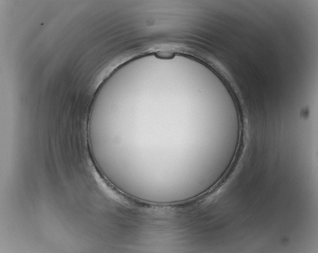 X0000112801041200908210958