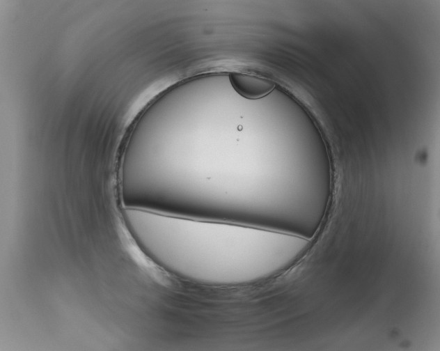 X0000112801042200908210958
