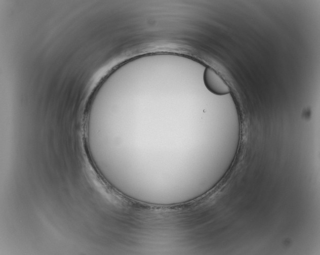X0000112801043200908210958
