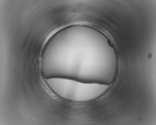 X0000112801044200908210958