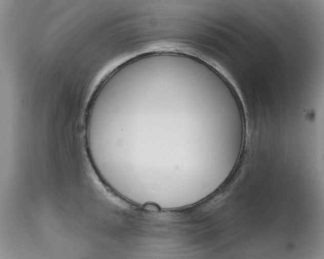 X0000112801045200908210958
