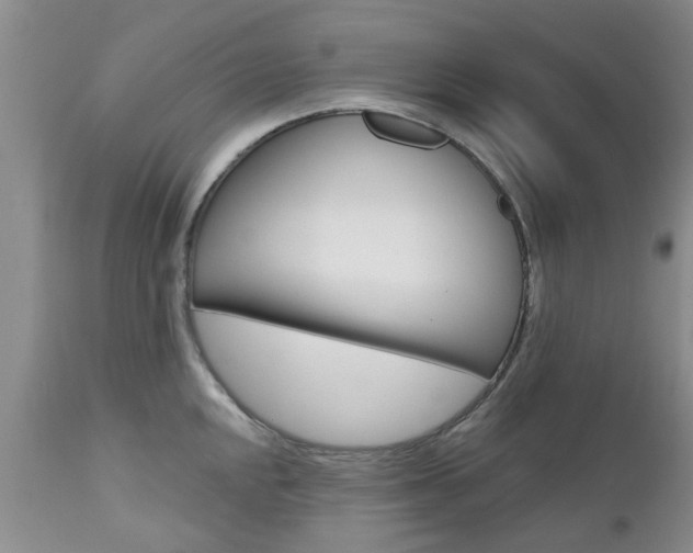 X0000112801048200908210958