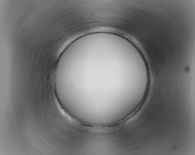 X0000112801049200908210958