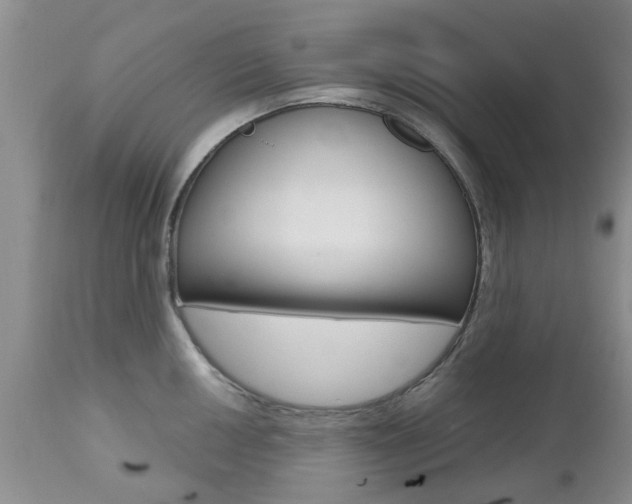 X0000112801050200908210958